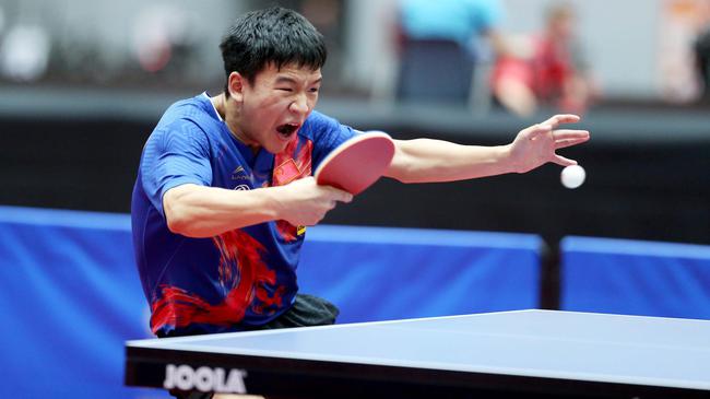 完全融入自 完全融入自