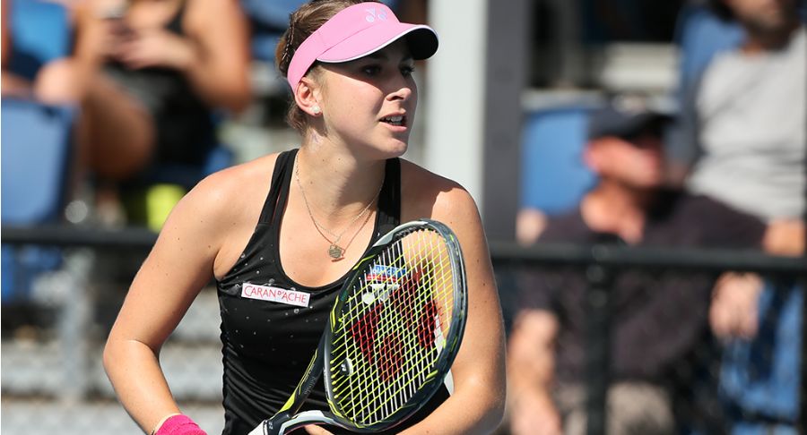 法律定性的 法律定性的