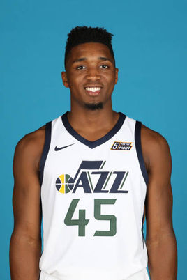 仅带动了全 仅带动了全